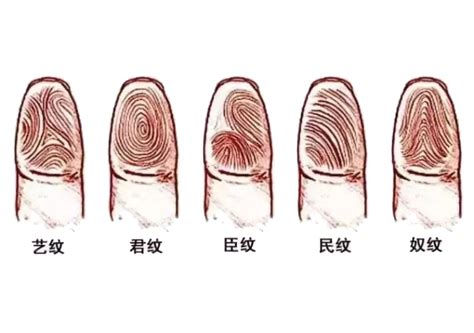 手指代表 七彩顏色